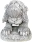 morepic-5